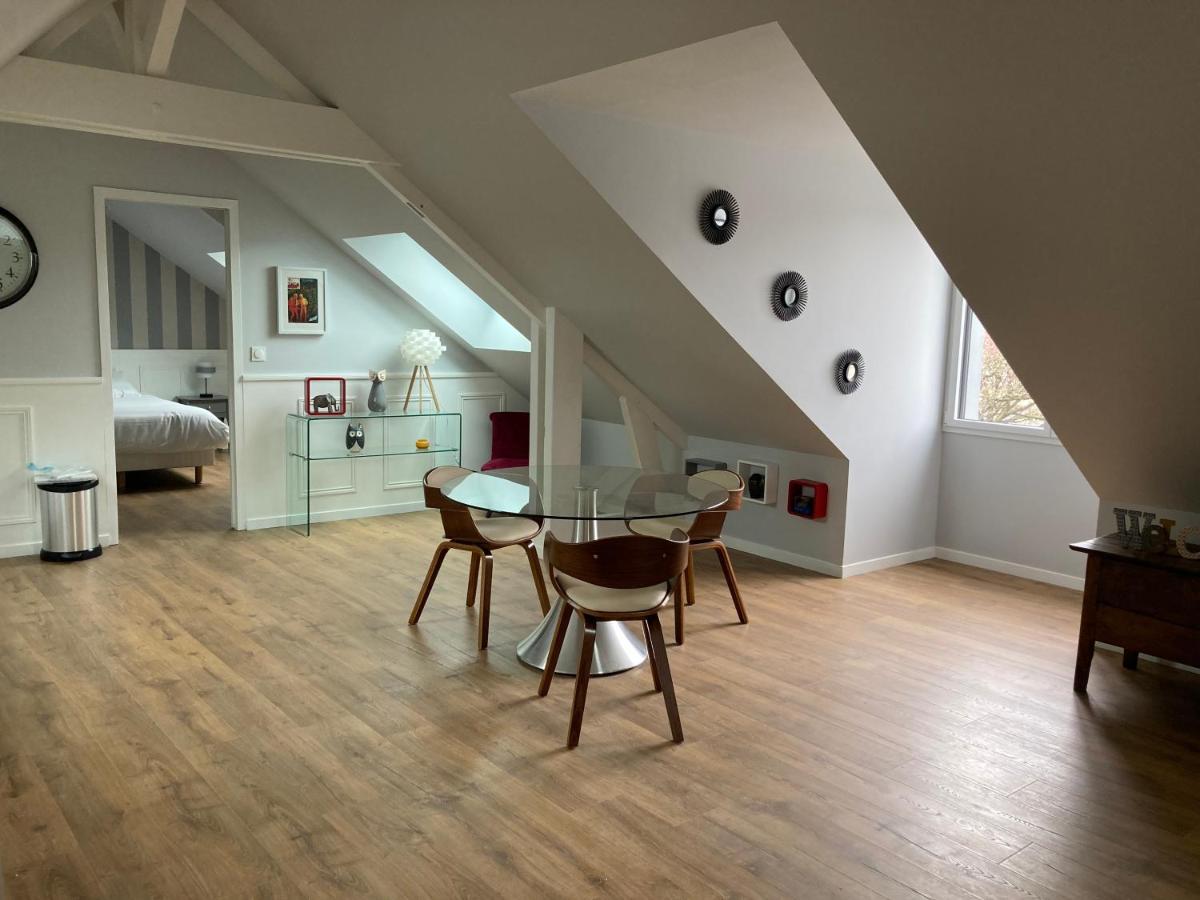 Loire Velo 3 Appartements Moderne Velo Parking 20 Places Velos Centre Ville Historique 布鲁瓦 外观 照片