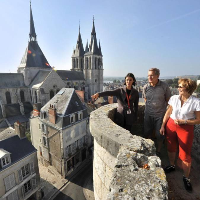 Loire Velo 3 Appartements Moderne Velo Parking 20 Places Velos Centre Ville Historique 布鲁瓦 外观 照片