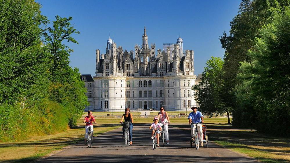 Loire Velo 3 Appartements Moderne Velo Parking 20 Places Velos Centre Ville Historique 布鲁瓦 外观 照片
