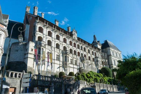 Loire Velo 3 Appartements Moderne Velo Parking 20 Places Velos Centre Ville Historique 布鲁瓦 外观 照片